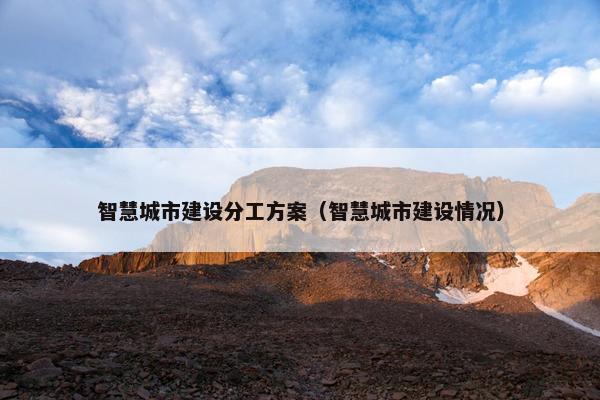 智慧城市建设分工方案（智慧城市建设情况）