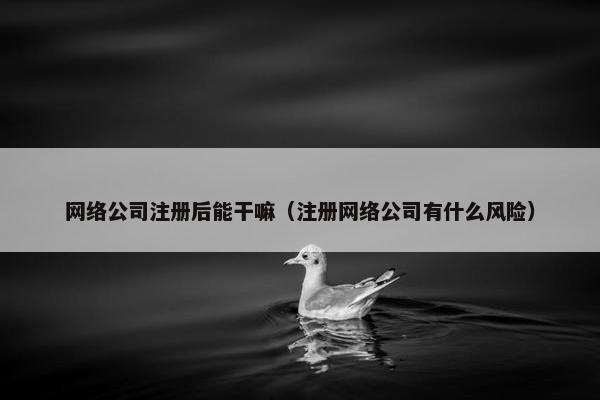 网络公司注册后能干嘛（注册网络公司有什么风险）