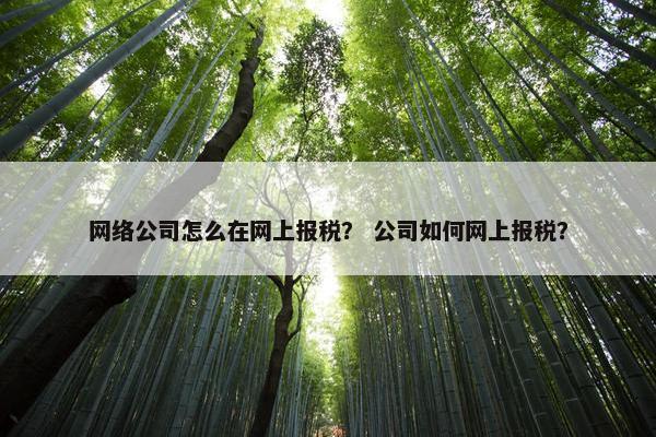 网络公司怎么在网上报税？ 公司如何网上报税？