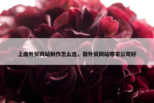 上虞外贸网站制作怎么选，做外贸网站哪家公司好