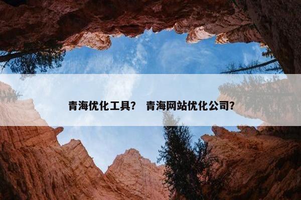 青海优化工具？ 青海网站优化公司？