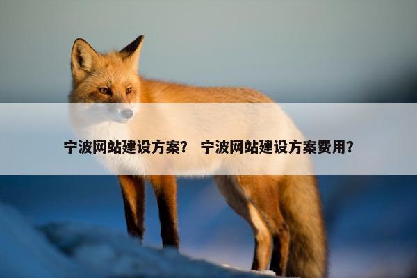 宁波网站建设方案？ 宁波网站建设方案费用？