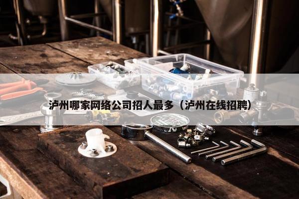 泸州哪家网络公司招人最多（泸州在线招聘）