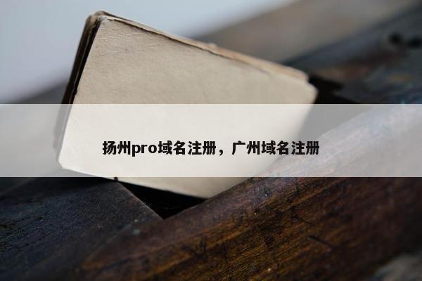 扬州pro域名注册，广州域名注册