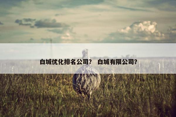 白城优化排名公司？ 白城有限公司？