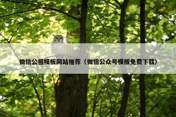 微信公祖模板网站推荐（微信公众号模板免费下载）