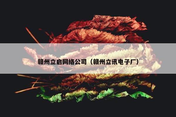 赣州立启网络公司（赣州立讯电子厂）