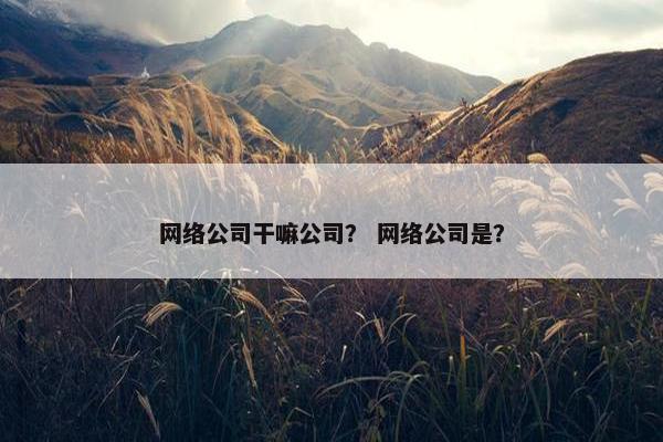 网络公司干嘛公司？ 网络公司是？