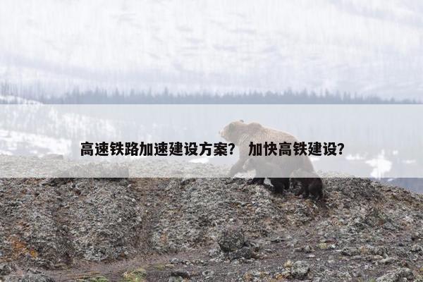 高速铁路加速建设方案？ 加快高铁建设？