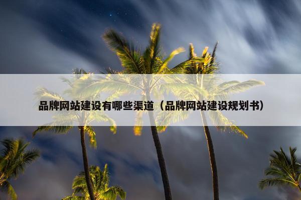 品牌网站建设有哪些渠道（品牌网站建设规划书）