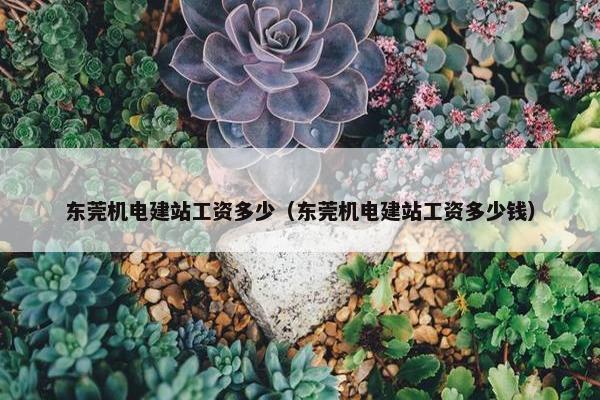 东莞机电建站工资多少（东莞机电建站工资多少钱）
