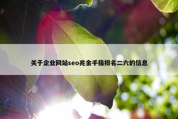 关于企业网站seo兆金手指排名二六的信息