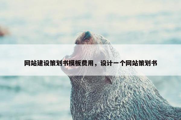 网站建设策划书模板费用，设计一个网站策划书