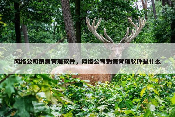 网络公司销售管理软件，网络公司销售管理软件是什么