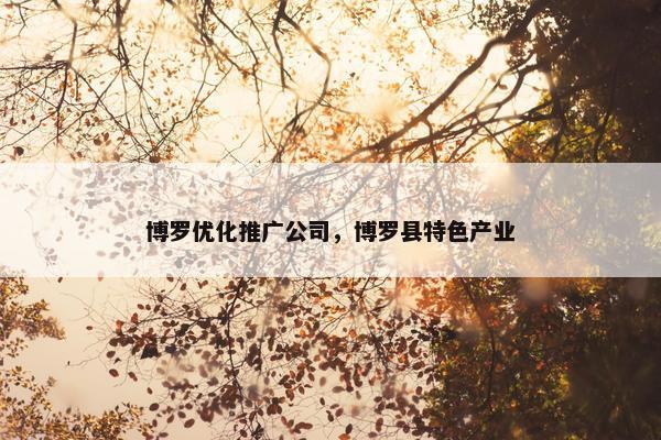 博罗优化推广公司，博罗县特色产业
