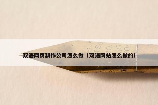 双语网页制作公司怎么做（双语网站怎么做的）