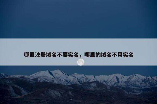 哪里注册域名不要实名，哪里的域名不用实名