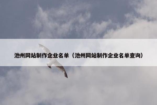 池州网站制作企业名单（池州网站制作企业名单查询）