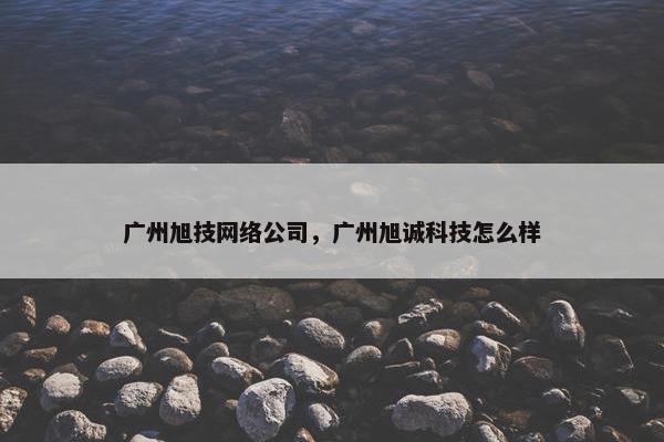 广州旭技网络公司，广州旭诚科技怎么样