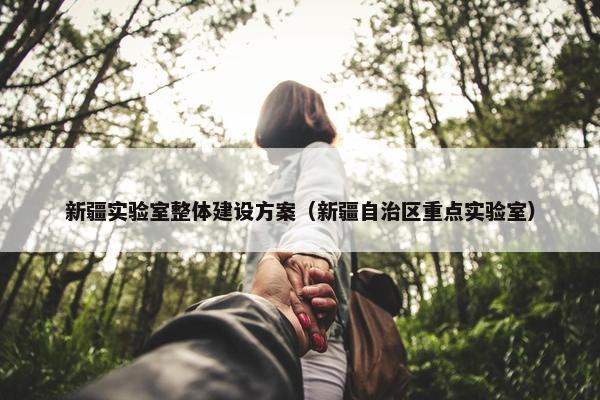 新疆实验室整体建设方案（新疆自治区重点实验室）