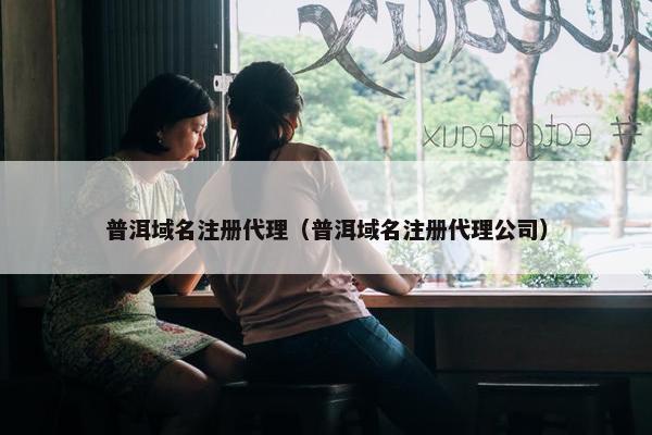 普洱域名注册代理（普洱域名注册代理公司）