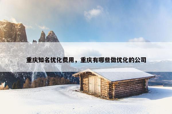 重庆知名优化费用，重庆有哪些做优化的公司