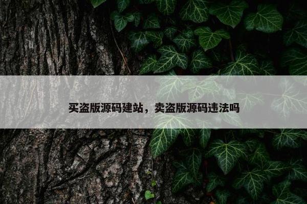 买盗版源码建站，卖盗版源码违法吗