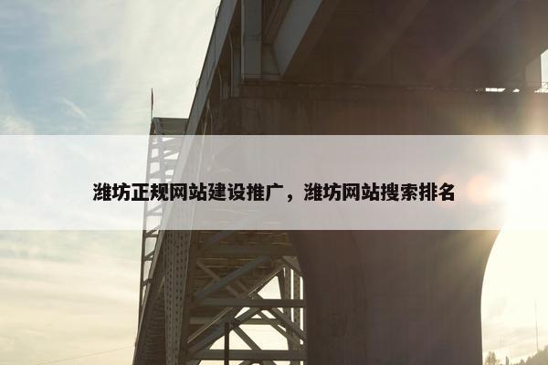 潍坊正规网站建设推广，潍坊网站搜索排名