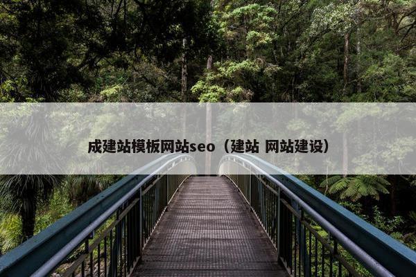 成建站模板网站seo（建站 网站建设）