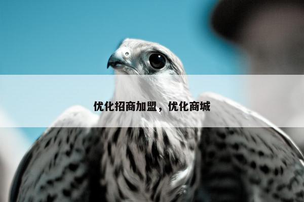 优化招商加盟，优化商城