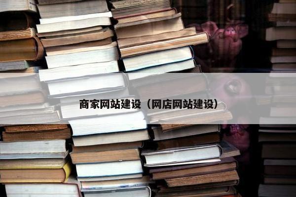 商家网站建设（网店网站建设）