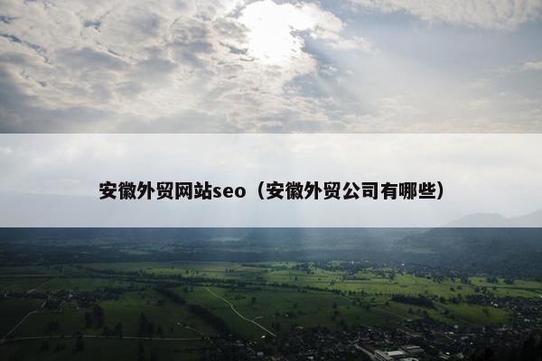 安徽外贸网站seo（安徽外贸公司有哪些）