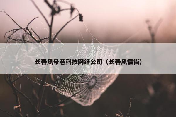 长春风景巷科技网络公司（长春风情街）