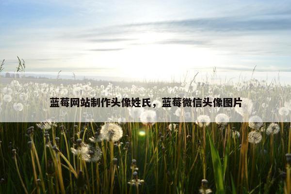 蓝莓网站制作头像姓氏，蓝莓微信头像图片