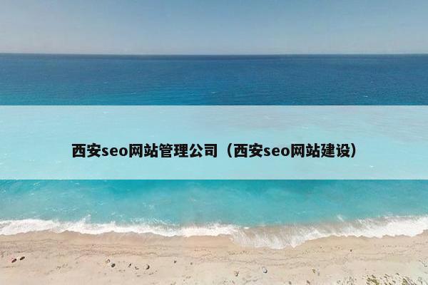 西安seo网站管理公司（西安seo网站建设）