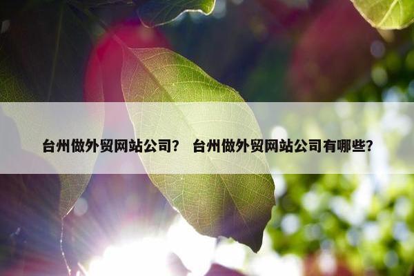 台州做外贸网站公司？ 台州做外贸网站公司有哪些？