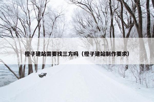 橙子建站需要找三方吗（橙子建站制作要求）