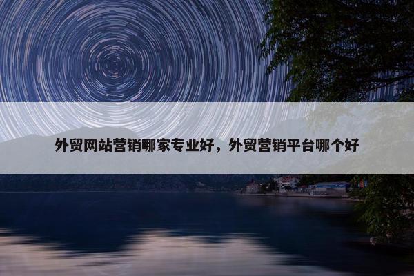 外贸网站营销哪家专业好，外贸营销平台哪个好