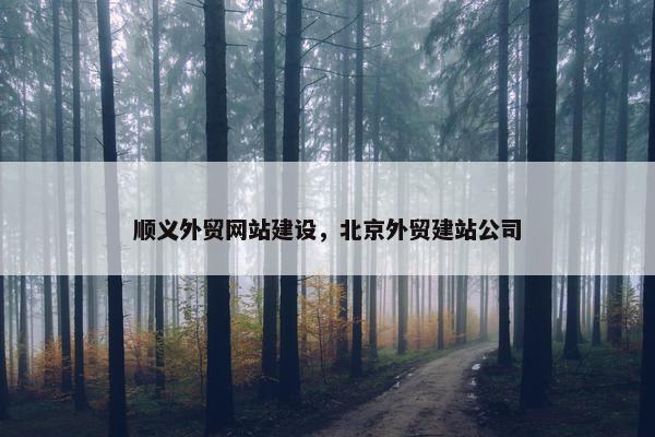 顺义外贸网站建设，北京外贸建站公司