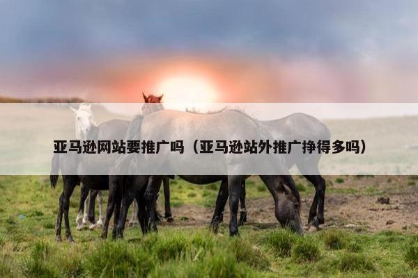 亚马逊网站要推广吗（亚马逊站外推广挣得多吗）