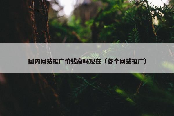 国内网站推广价钱高吗现在（各个网站推广）