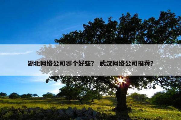 湖北网络公司哪个好些？ 武汉网络公司推荐？