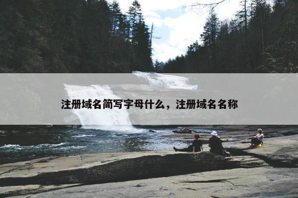 注册域名简写字母什么，注册域名名称