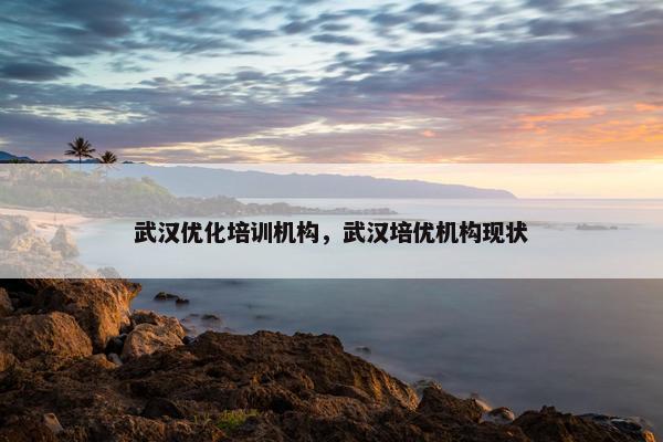 武汉优化培训机构，武汉培优机构现状