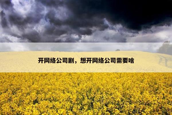 开网络公司剧，想开网络公司需要啥
