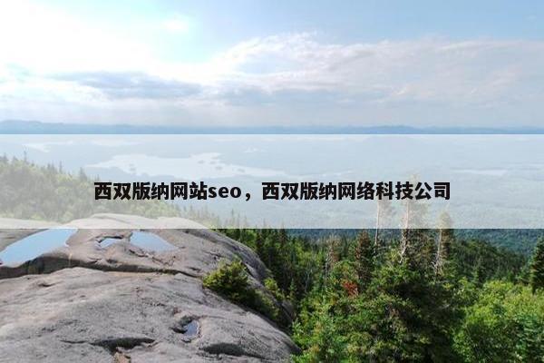 西双版纳网站seo，西双版纳网络科技公司
