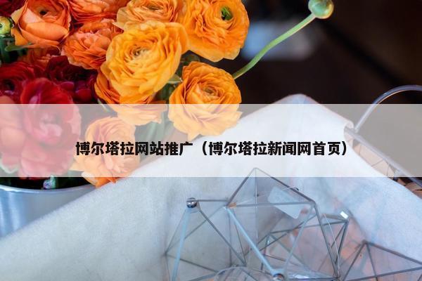 博尔塔拉网站推广（博尔塔拉新闻网首页）