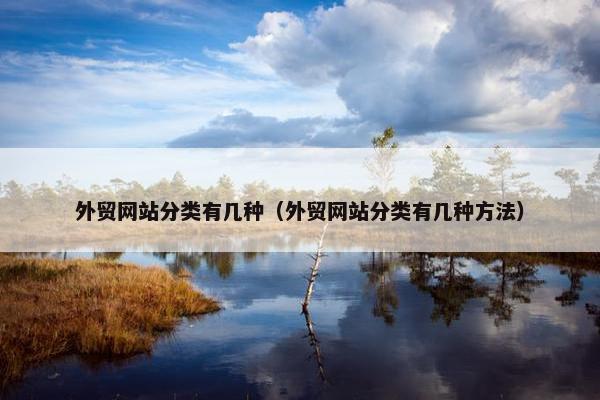 外贸网站分类有几种（外贸网站分类有几种方法）