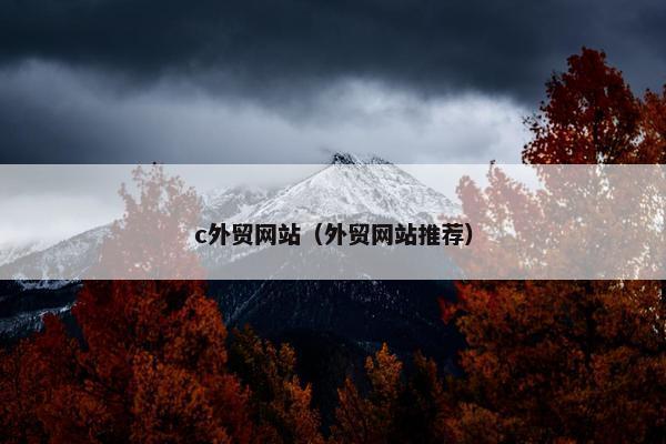 c外贸网站（外贸网站推荐）
