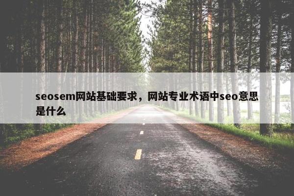 seosem网站基础要求，网站专业术语中seo意思是什么
